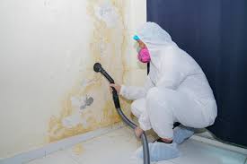 Best Mold Remediation for Healthcare Facilities  in Moraine, OH